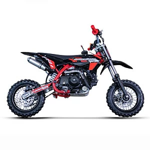 Питбайк PitonMoto PX2 70ЕА 10/10