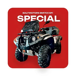 Квадрицикл BALTMOTORS BM700 EFI (черный) special