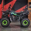Снегоболотоход (квадроцикл) GLADIATOR (Mikilon) F200 LONG (черный) с ПСМ