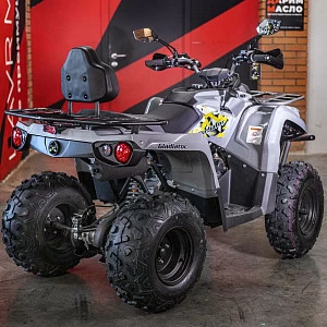 Запчасти для квадроцикла GLADIATOR (Mikilon) F200 (серый)