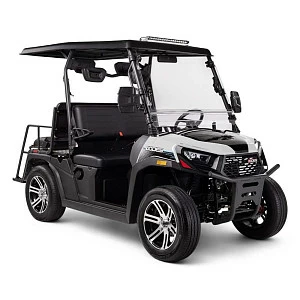 Мотовездеход AODES UTV 300-10 Golf